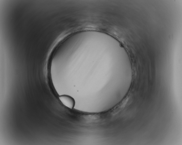 X0000091590102200709171141