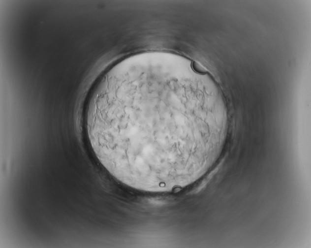 X0000091590103200709171141