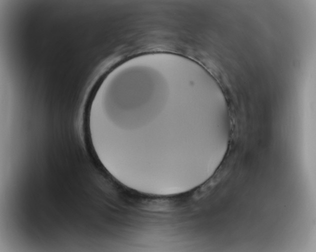 X0000091590104200709171141