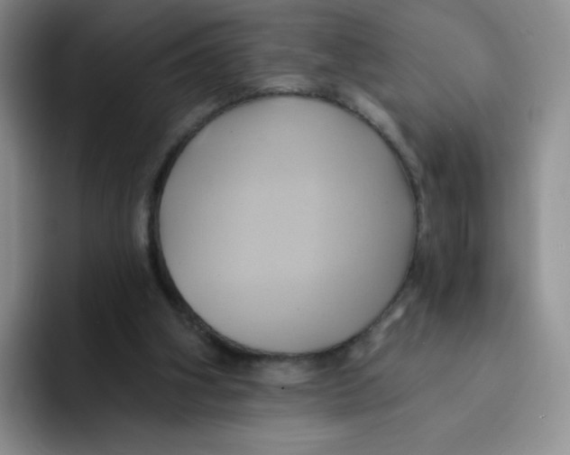 X0000091590106200709171141