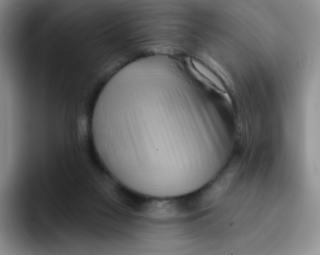 X0000091590117200709171141