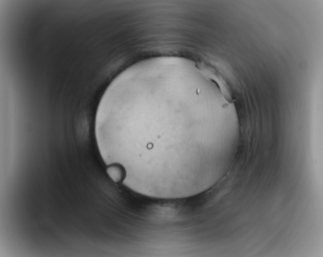 X0000091590120200709171141