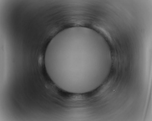 X0000091590123200709171141