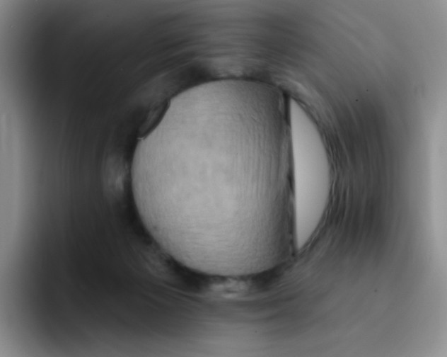 X0000091590125200709171141