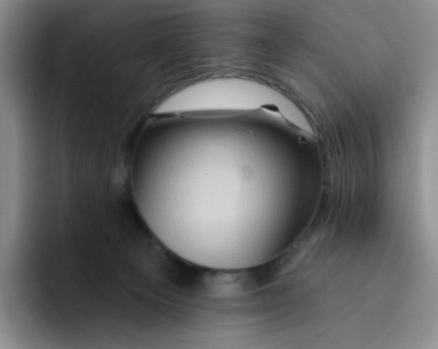 X0000091590129200709171141