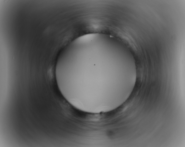 X0000091590131200709171141