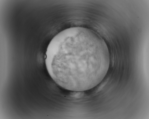 X0000091590135200709171141