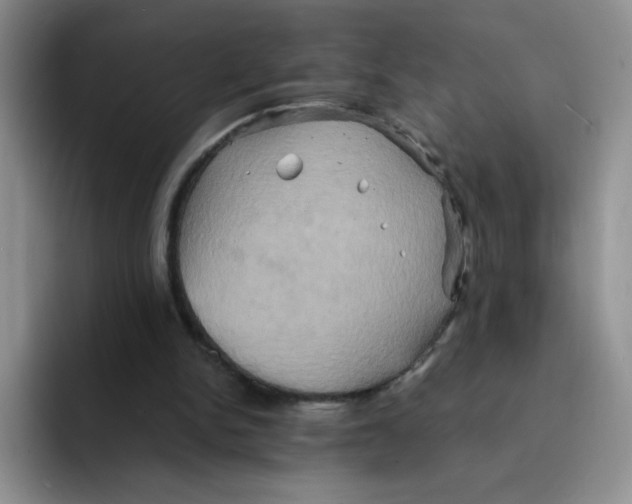 X0000091590150200709171140