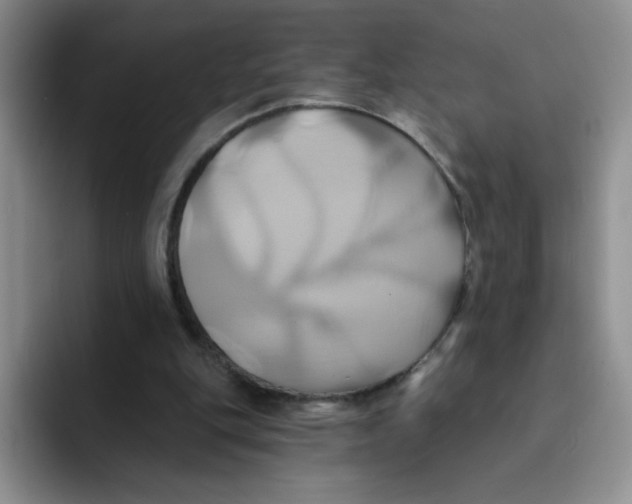 X0000091590151200709171140