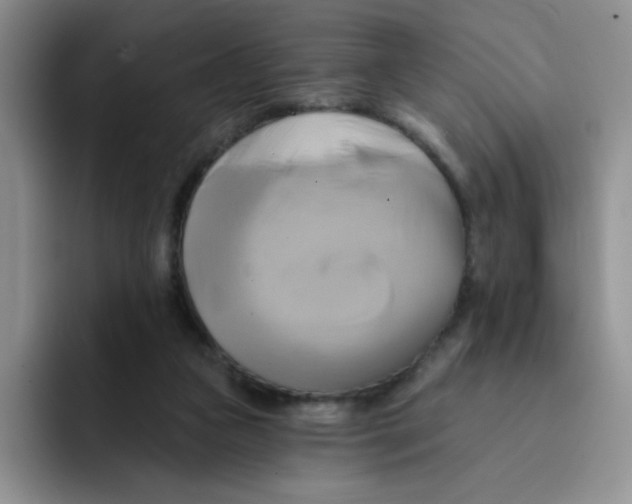 X0000091590161200709171141