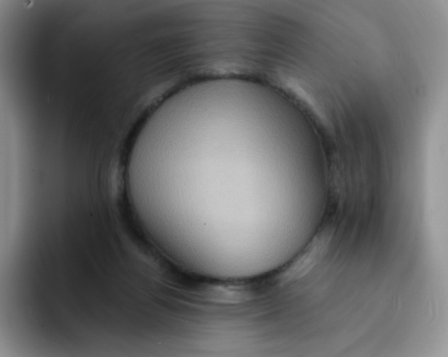 X0000091590164200709171141