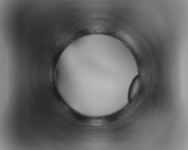 X0000091590169200709171141