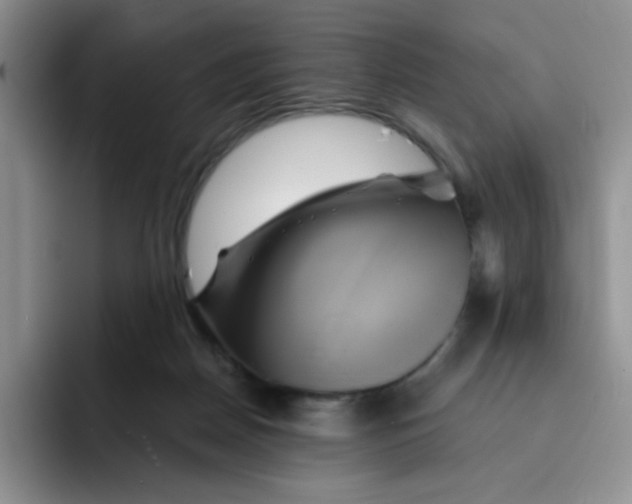 X0000091590170200709171141