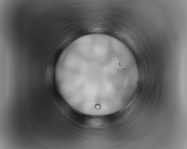 X0000091590171200709171141