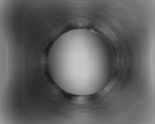 X0000091590184200709171141