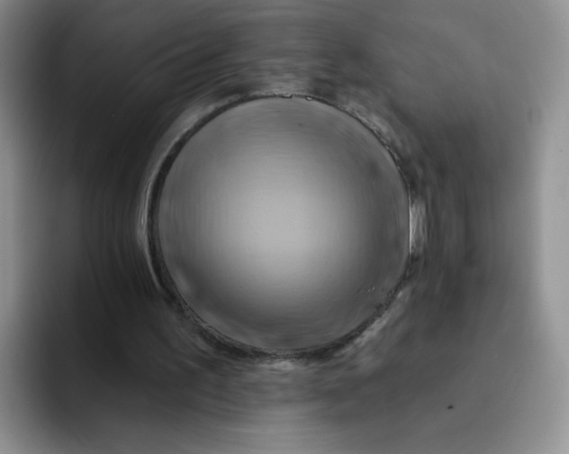 X0000091590195200709171140