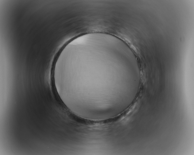 X0000091590196200709171140