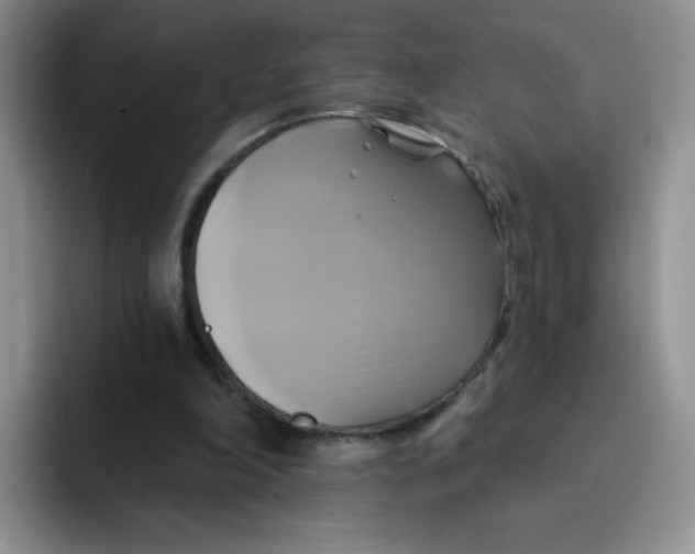 X0000091590198200709171140