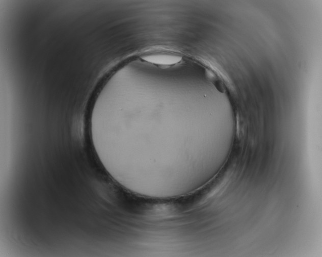 X0000091590204200709171140