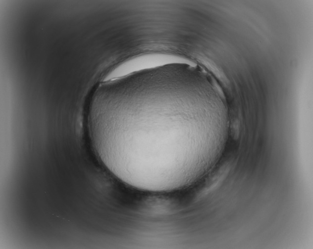 X0000091590207200709171140