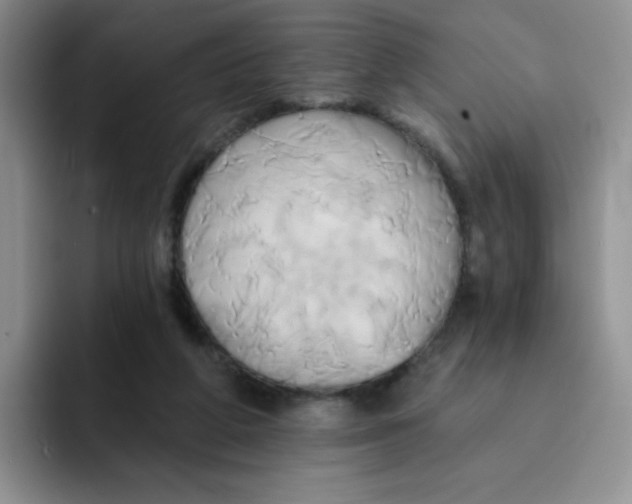 X0000091590210200709171140