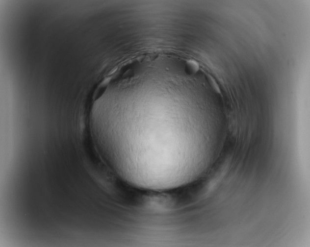 X0000091590215200709171140