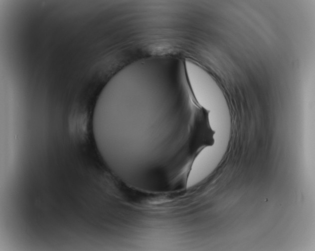 X0000091590219200709171140