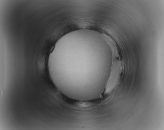 X0000091590221200709171140