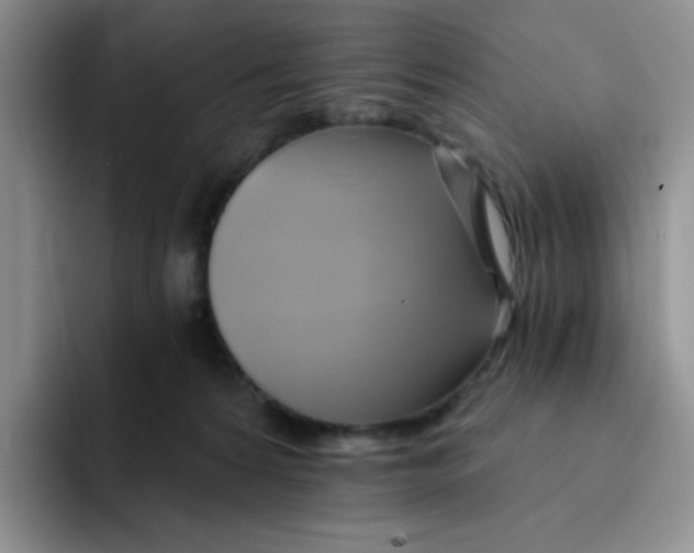 X0000091590224200709171140