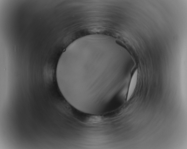 X0000091590227200709171140