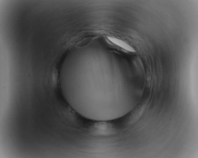 X0000091590231200709171140