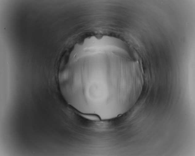 X0000091590233200709171140