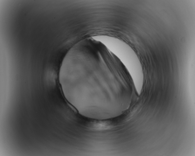 X0000091590235200709171140