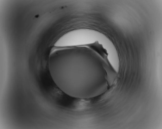 X0000091590239200709171140