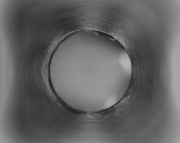 X0000091590241200709171139