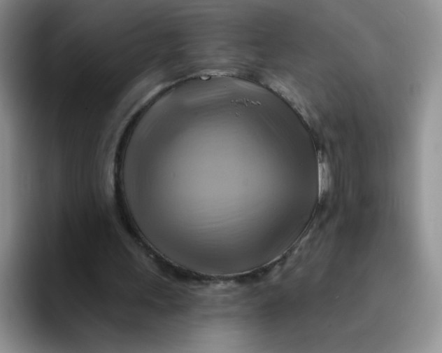 X0000091590243200709171139