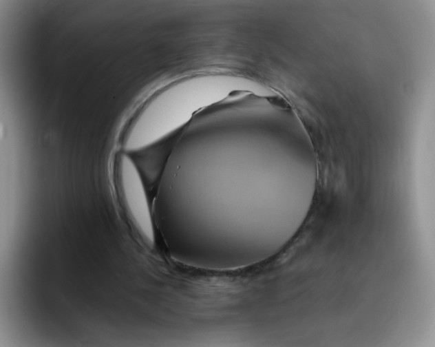 X0000091590244200709171139