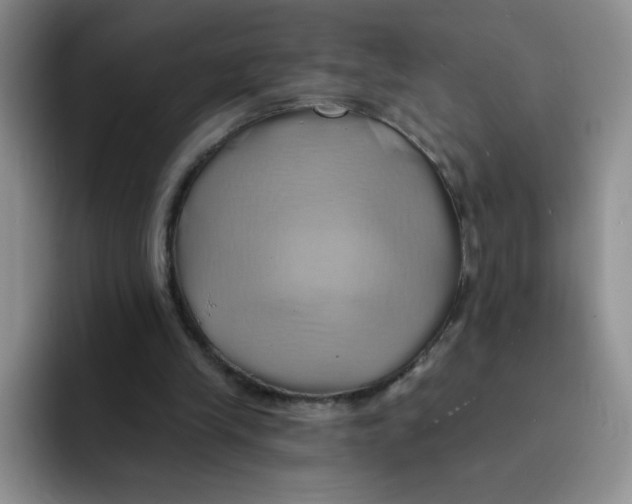 X0000091590245200709171139