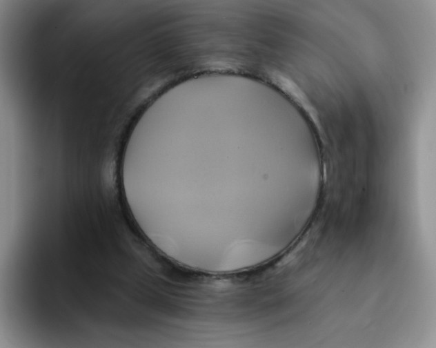 X0000091590249200709171139