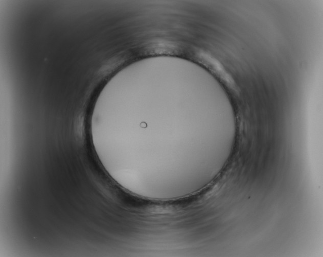 X0000091590250200709171139