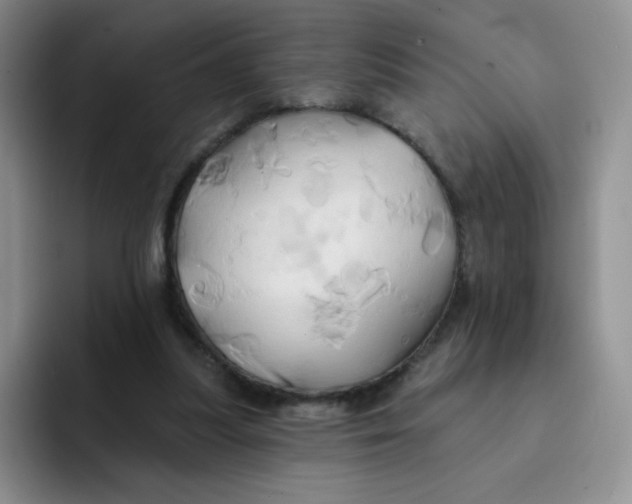 X0000091590251200709171139