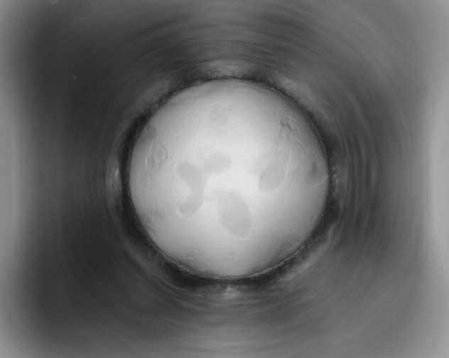 X0000091590254200709171139