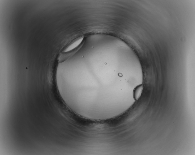 X0000091590255200709171139