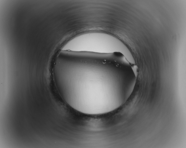 X0000091590256200709171139