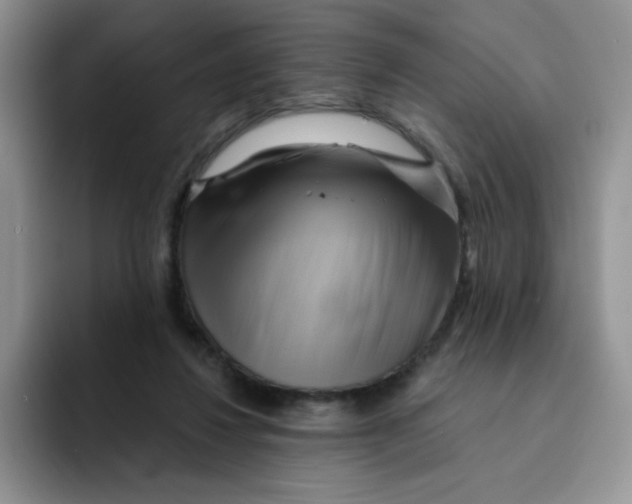 X0000091590260200709171139