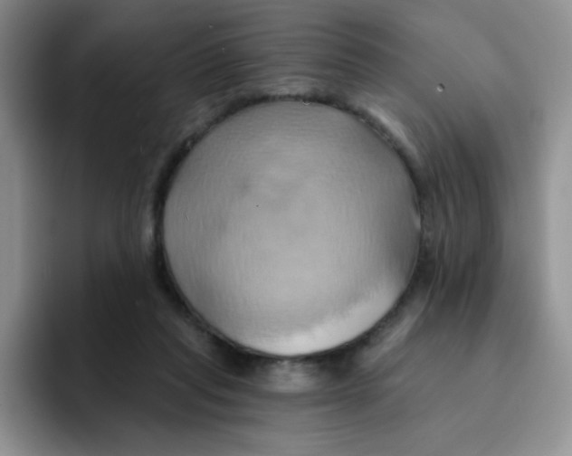 X0000091590261200709171139