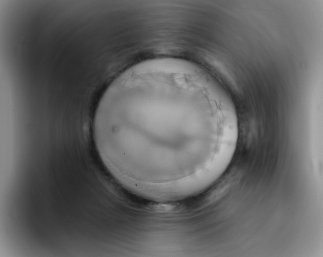 X0000091590265200709171140