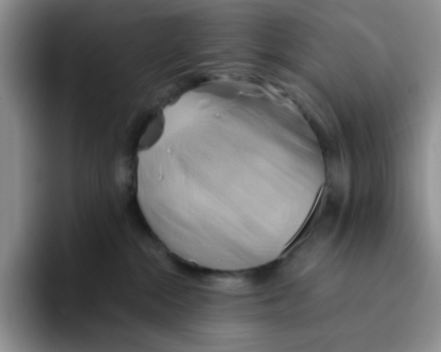 X0000091590284200709171140