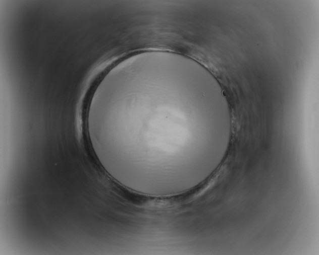 X0000091590294200709171139