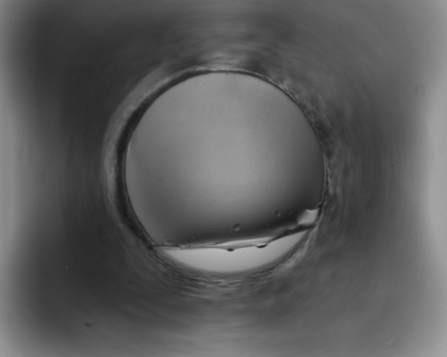 X0000091590295200709171139